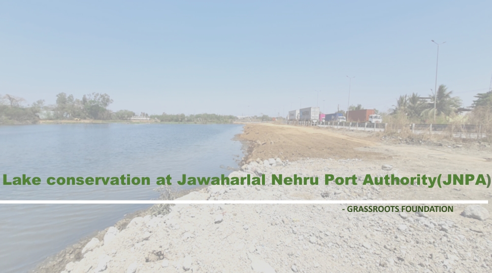 IGSSS Project Background